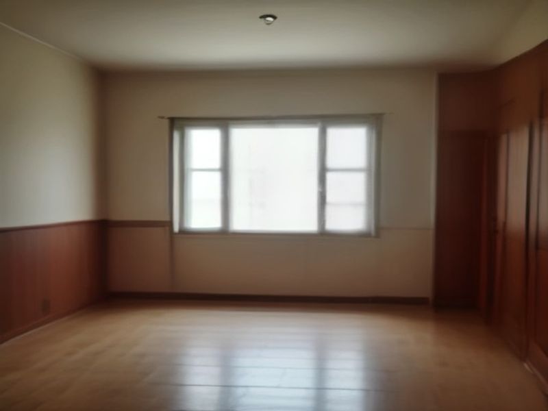 Is a Miniature Dachshund Right for Your Apartment?
