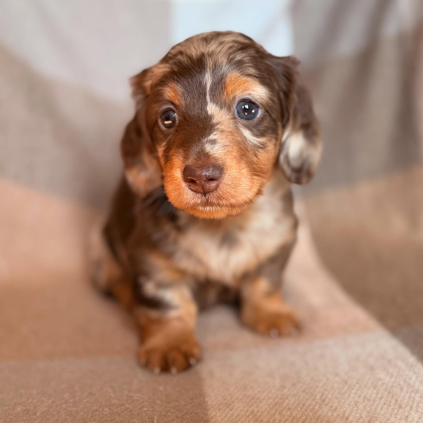 Tilly